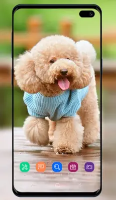 Puppy Wallpaper android App screenshot 1