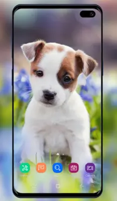 Puppy Wallpaper android App screenshot 3