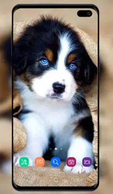 Puppy Wallpaper android App screenshot 4